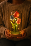 Tulipán Eterno en Cúpula de Cristal