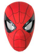 SPIDER MASK | ENVIO GRATIS