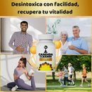 Candida Cleanse Viral de Tiktok - Fórmula Ayurvédica para la Salud Digestiva y Equilibrio Fúngico (90 Cápsulas)