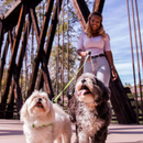 CORREA 2 EN 1 PARA MASCOTA