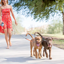 CORREA 2 EN 1 PARA MASCOTA